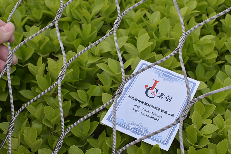 不銹鋼繩網(wǎng)生產(chǎn)廠(chǎng)家